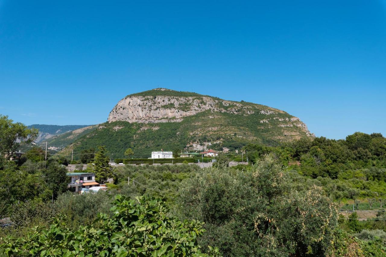 Villa Anna - De Vivo Realty Piano Di Sorrento Luaran gambar